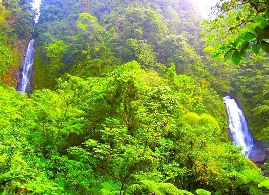 E Bike Tours Dominica 1